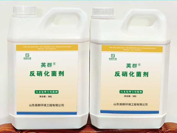 反硝化菌剂